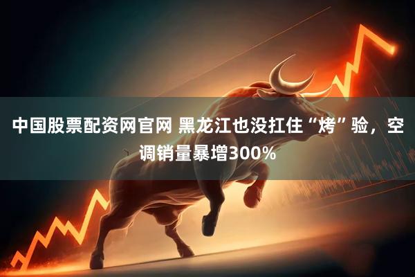中国股票配资网官网 黑龙江也没扛住“烤”验，空调销量暴增300%